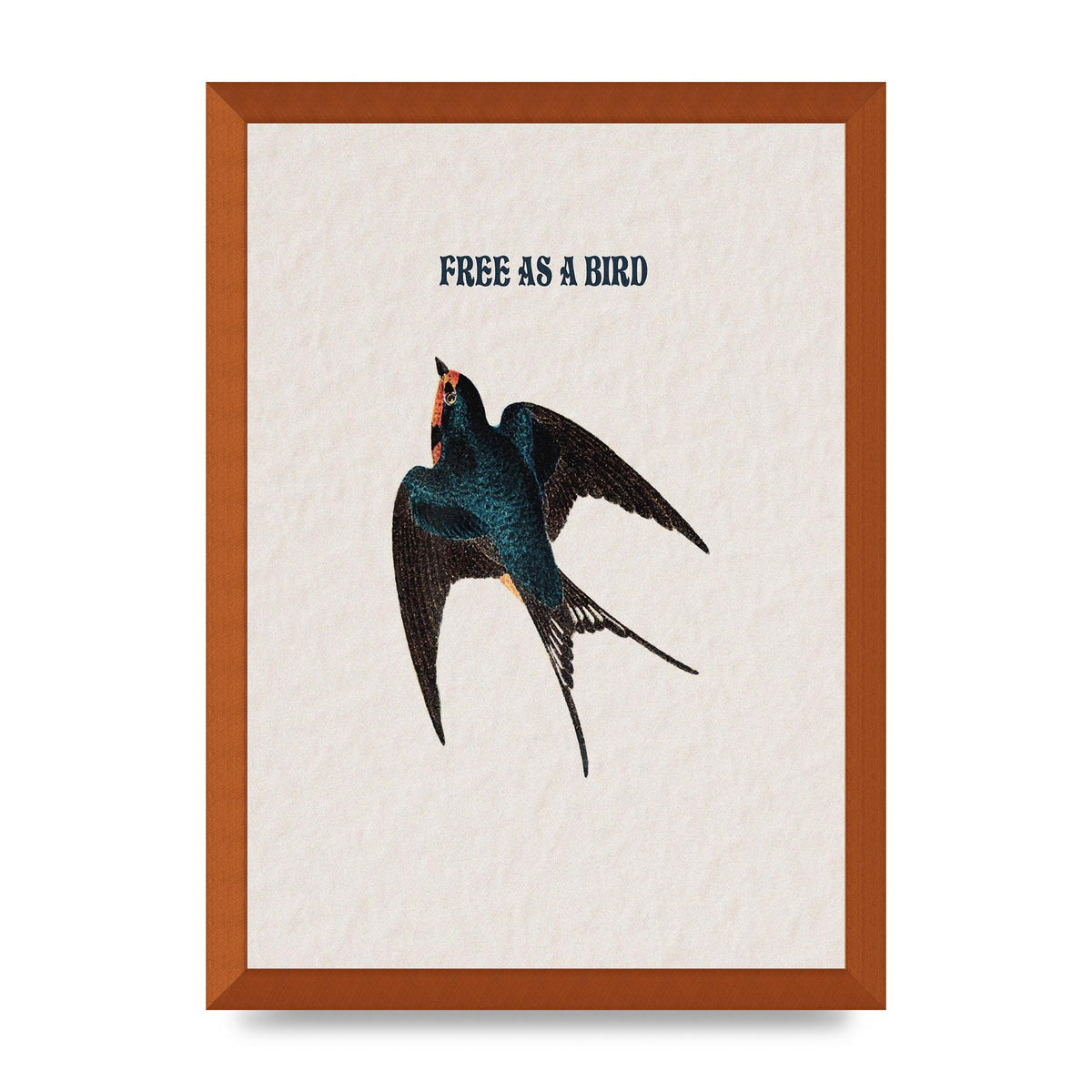 Free As A Bird Illustrative Wall Art - A3 framed