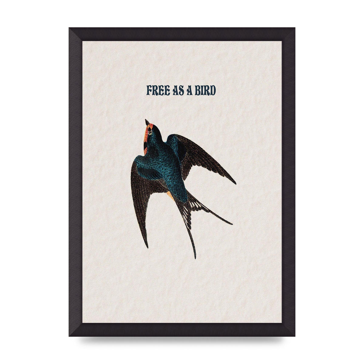 Free As A Bird Illustrative Wall Art - A3 framed