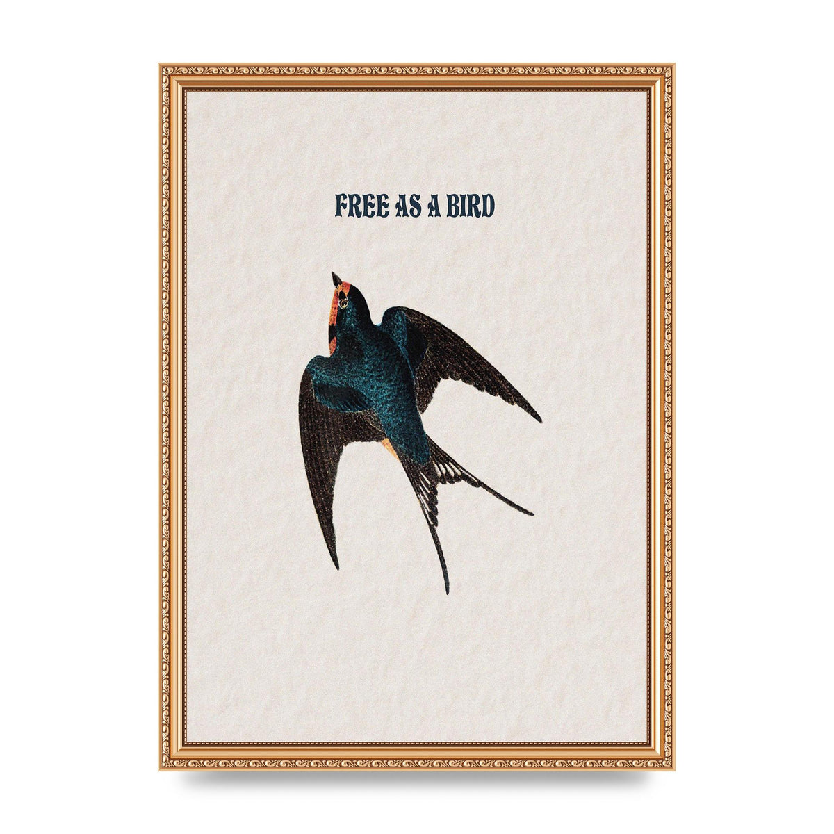 Free As A Bird Illustrative Wall Art - A3 framed