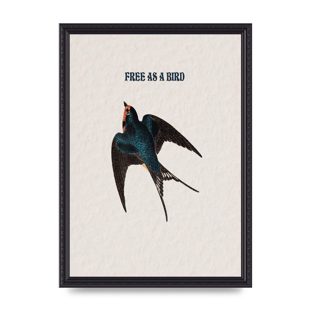 Free As A Bird Illustrative Wall Art - A3 framed