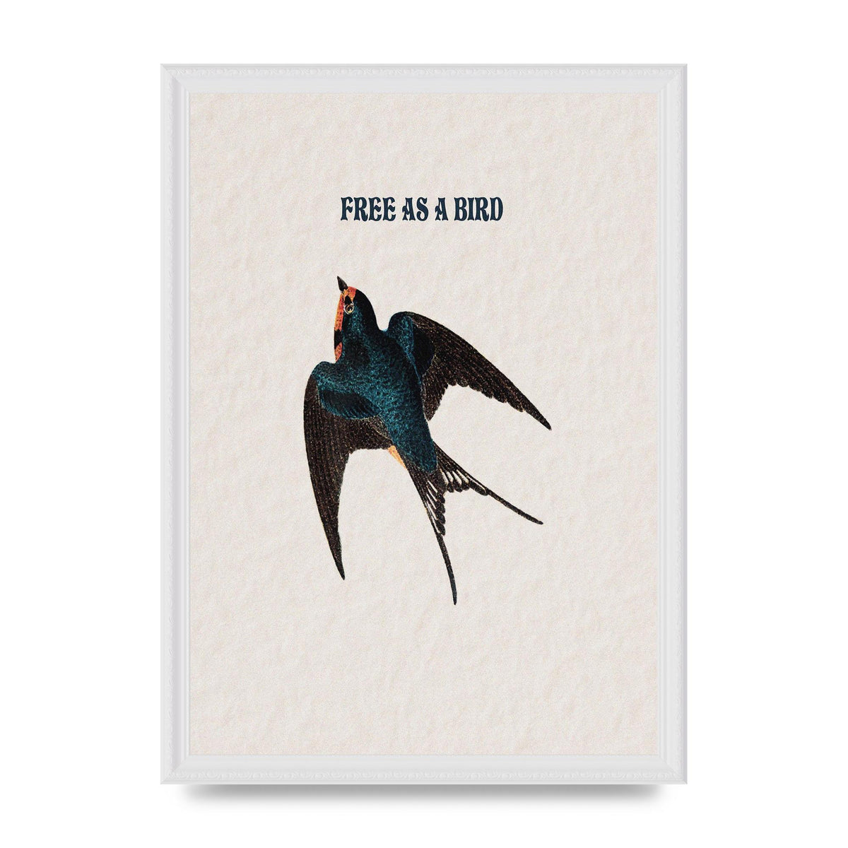 Free As A Bird Illustrative Wall Art - A3 framed