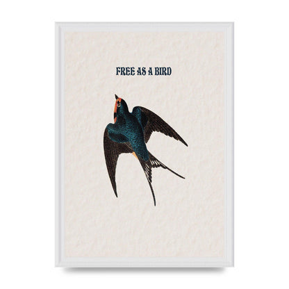 Free As A Bird Illustrative Wall Art - A3 framed