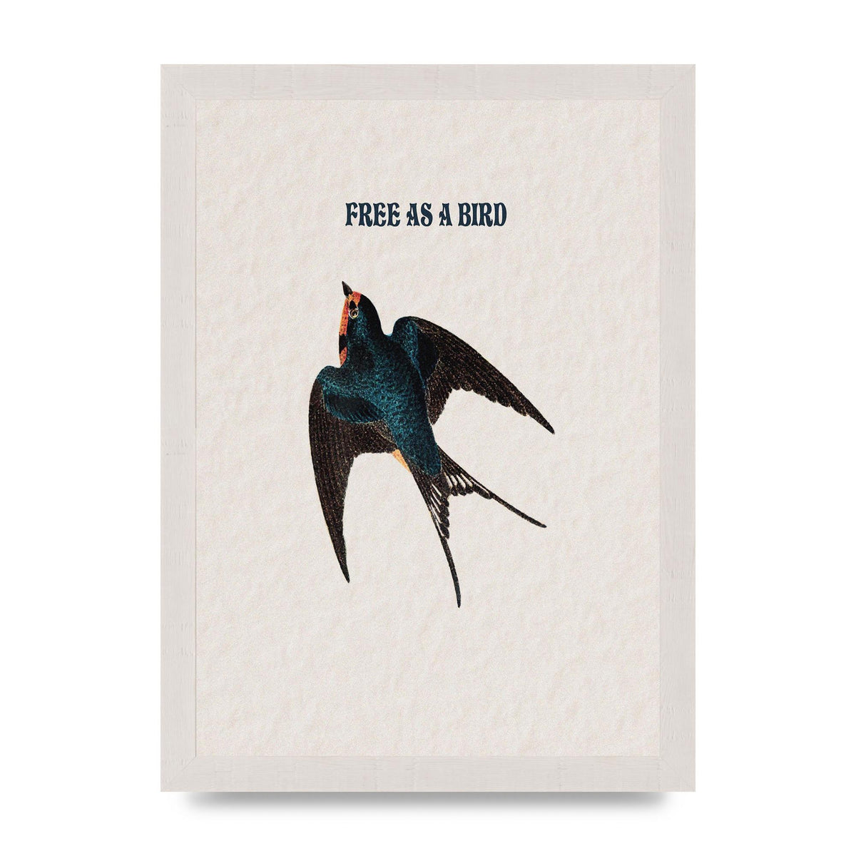 Free As A Bird Illustrative Wall Art - A4 framed