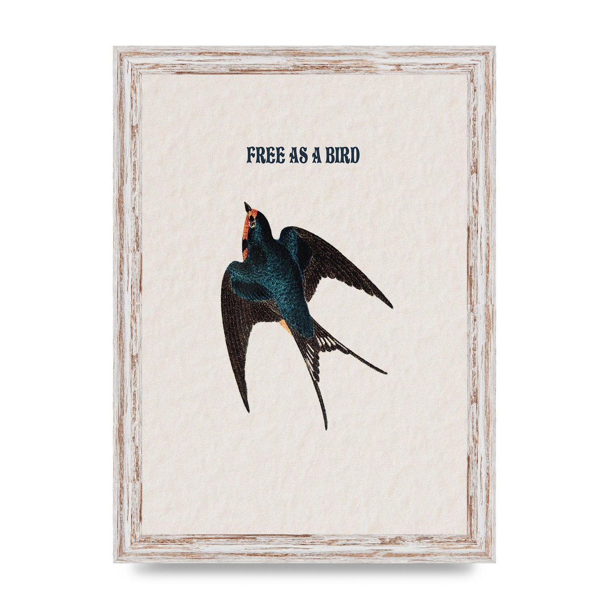 Free As A Bird Illustrative Wall Art - A4 framed