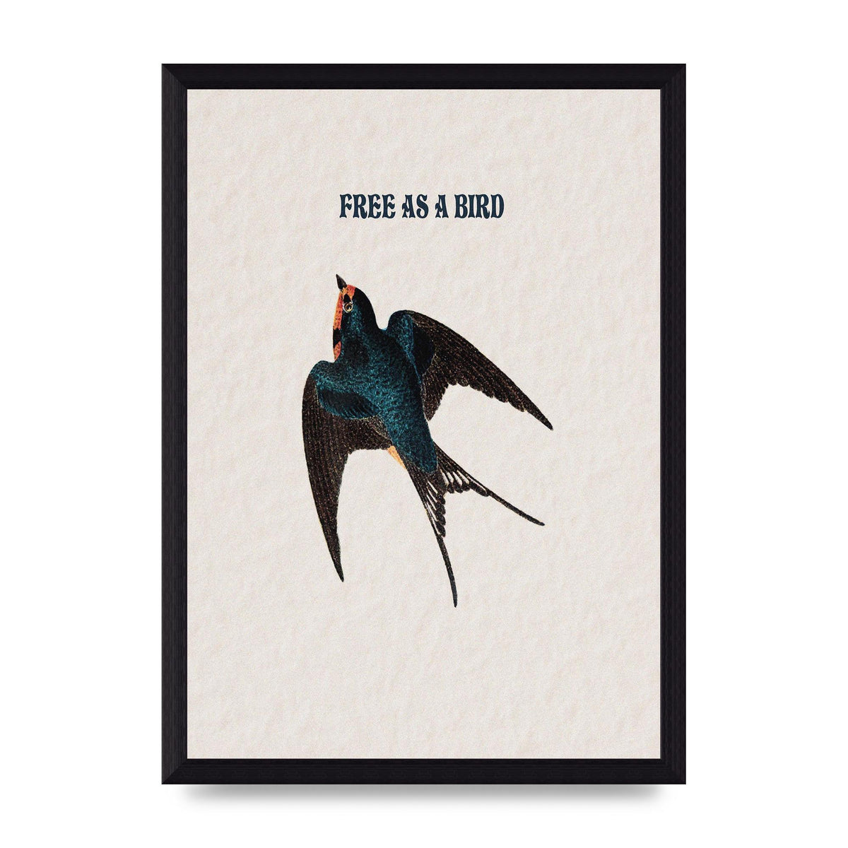 Free As A Bird Illustrative Wall Art - A4 framed