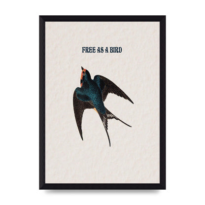 Free As A Bird Illustrative Wall Art - A4 framed