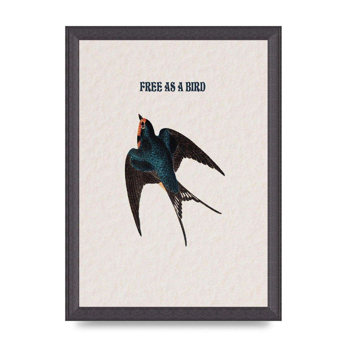 Free As A Bird Illustrative Wall Art - A4 framed