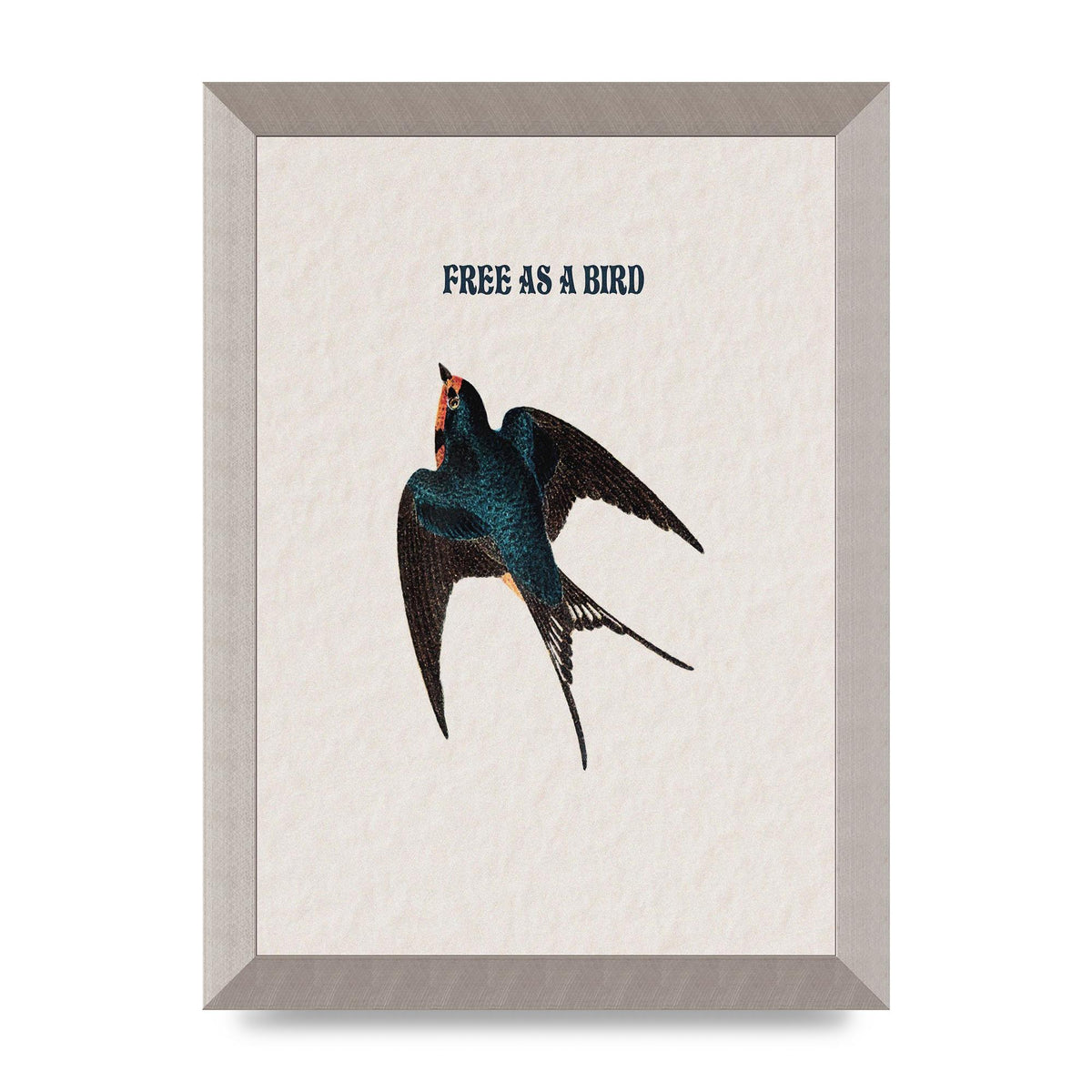 Free As A Bird Illustrative Wall Art - A4 framed