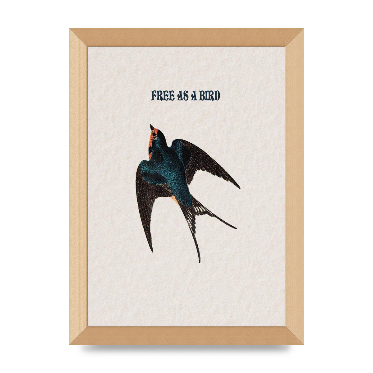 Free As A Bird Illustrative Wall Art - A4 framed
