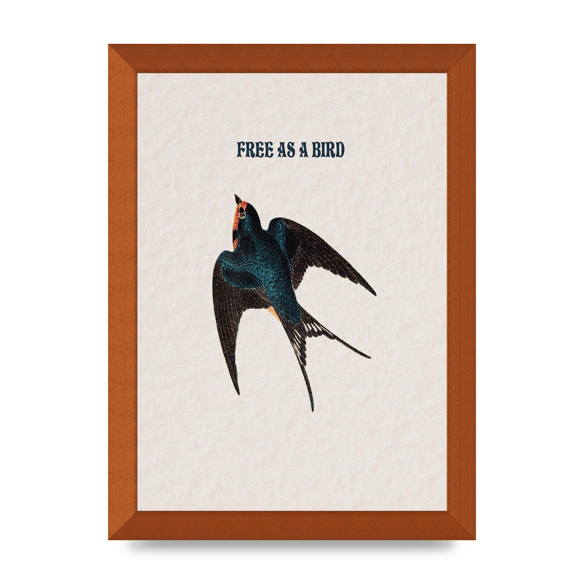 Free As A Bird Illustrative Wall Art - A4 framed