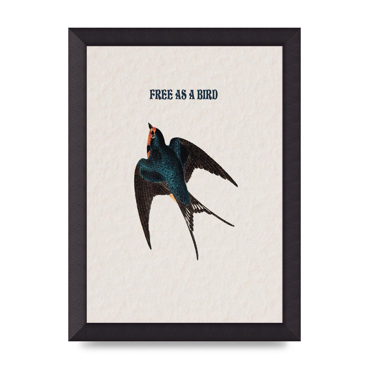 Free As A Bird Illustrative Wall Art - A4 framed