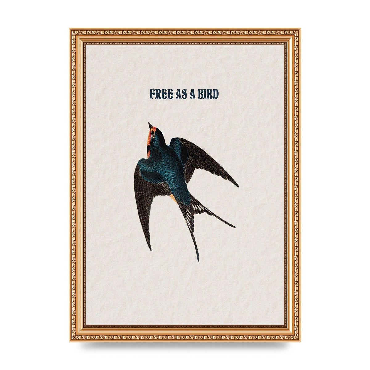 Free As A Bird Illustrative Wall Art - A4 framed
