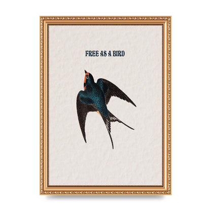 Free As A Bird Illustrative Wall Art - A4 framed