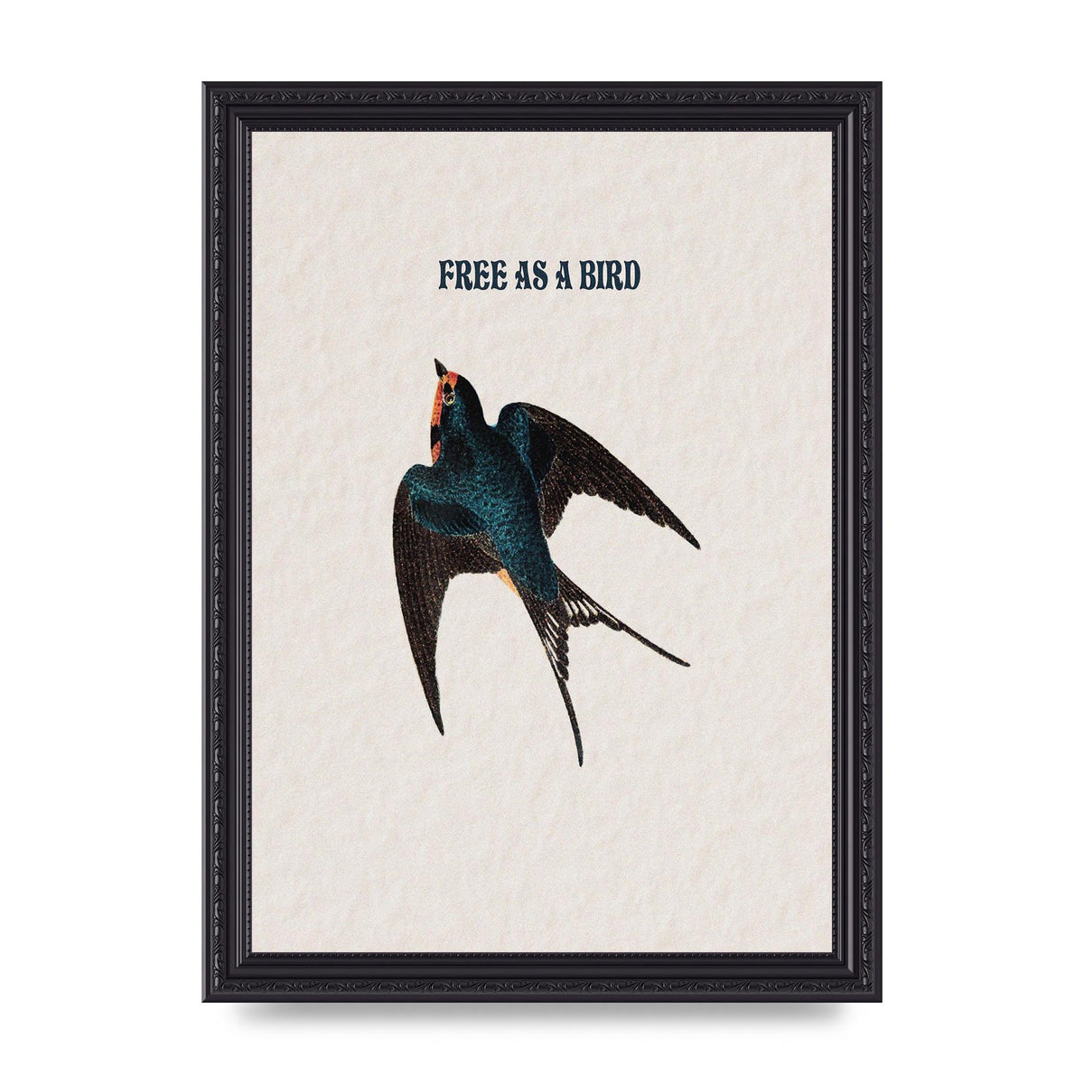 Free As A Bird Illustrative Wall Art - A4 framed