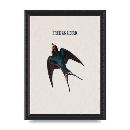 Free As A Bird Illustrative Wall Art - A4 framed