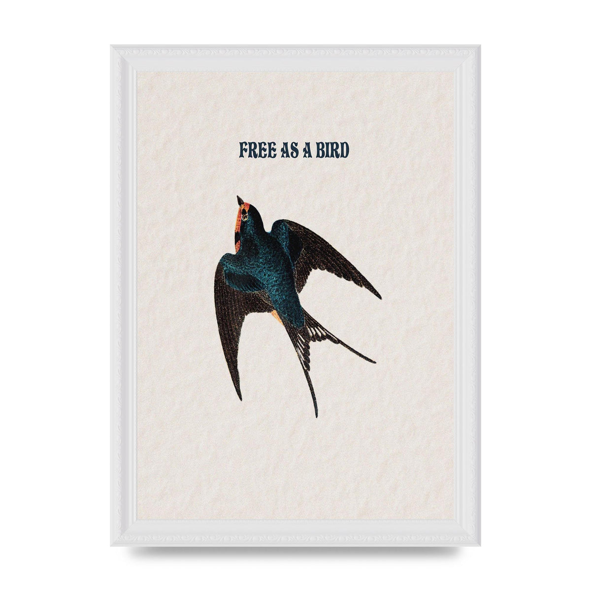 Free As A Bird Illustrative Wall Art - A4 framed