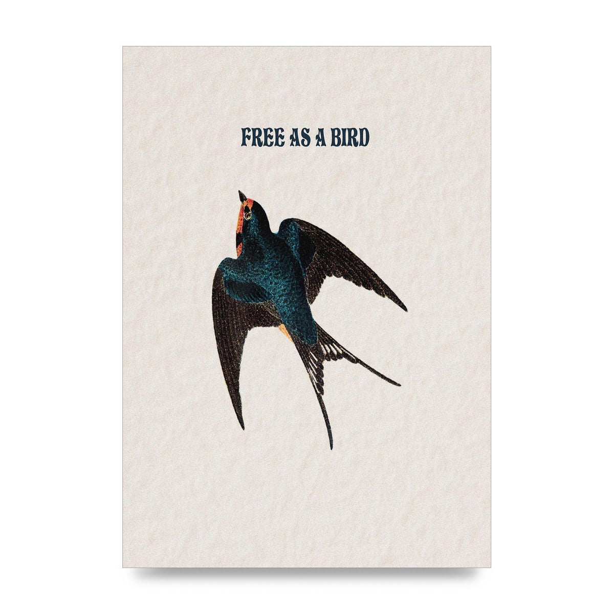 Free As A Bird Illustrative Wall Art - unframed print