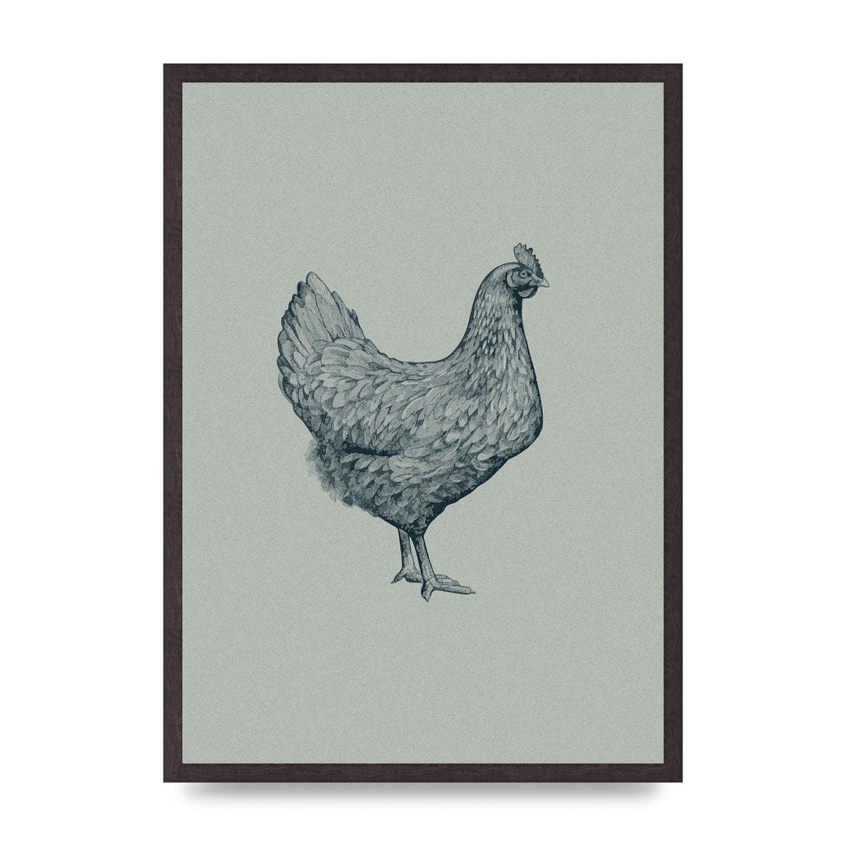 Chicken Illustration Printed Poster - A2 framed