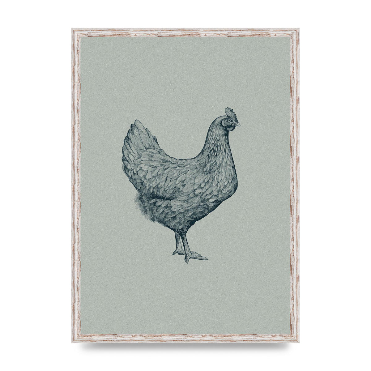 Chicken Illustration Printed Poster - A2 framed
