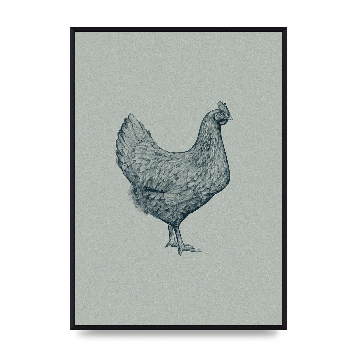 Chicken Illustration Printed Poster - A2 framed