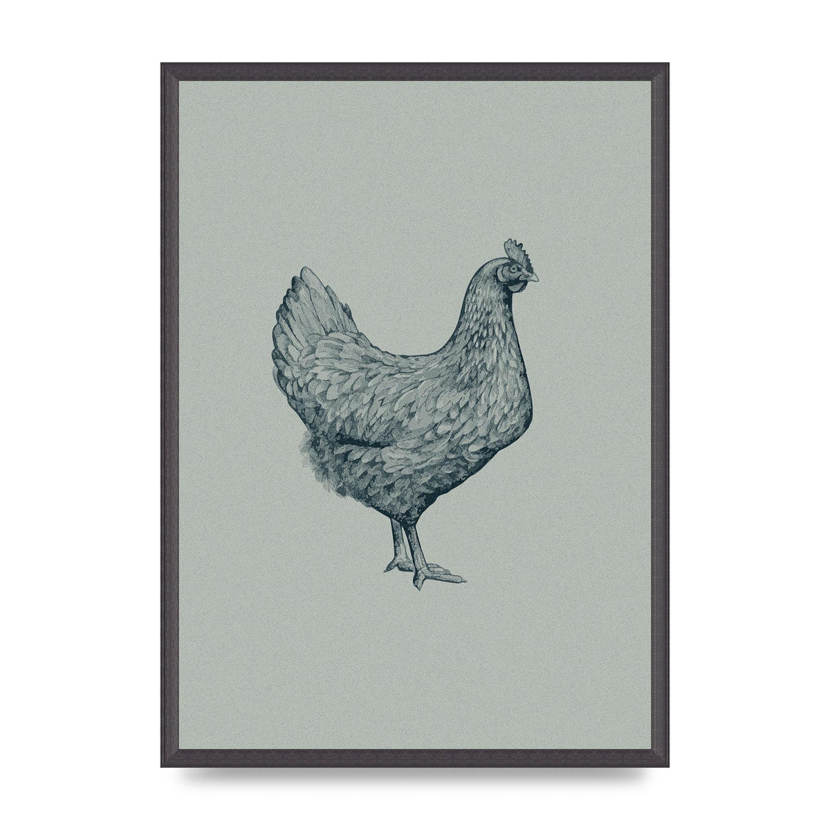 Chicken Illustration Printed Poster - A2 framed