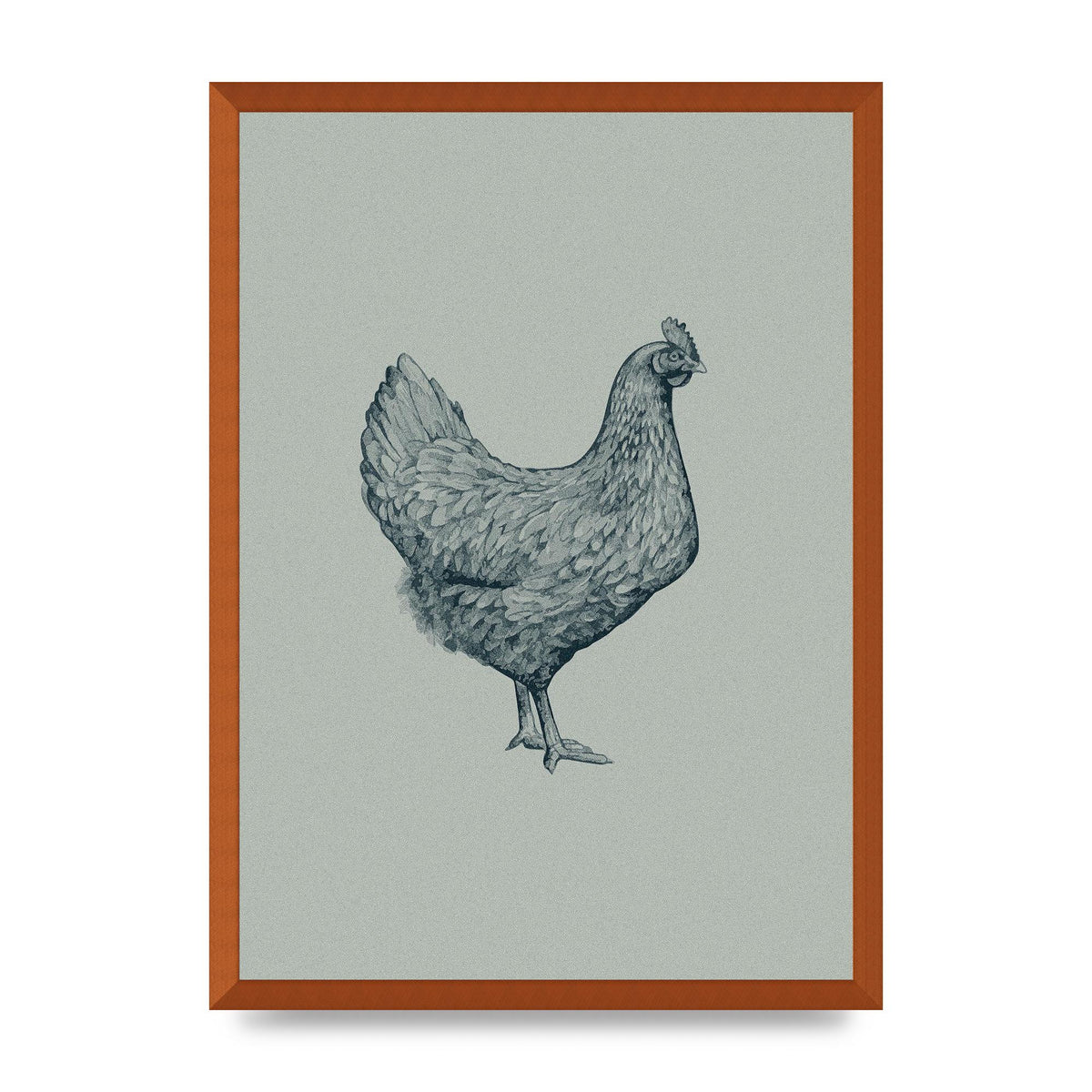 Chicken Illustration Printed Poster - A2 framed