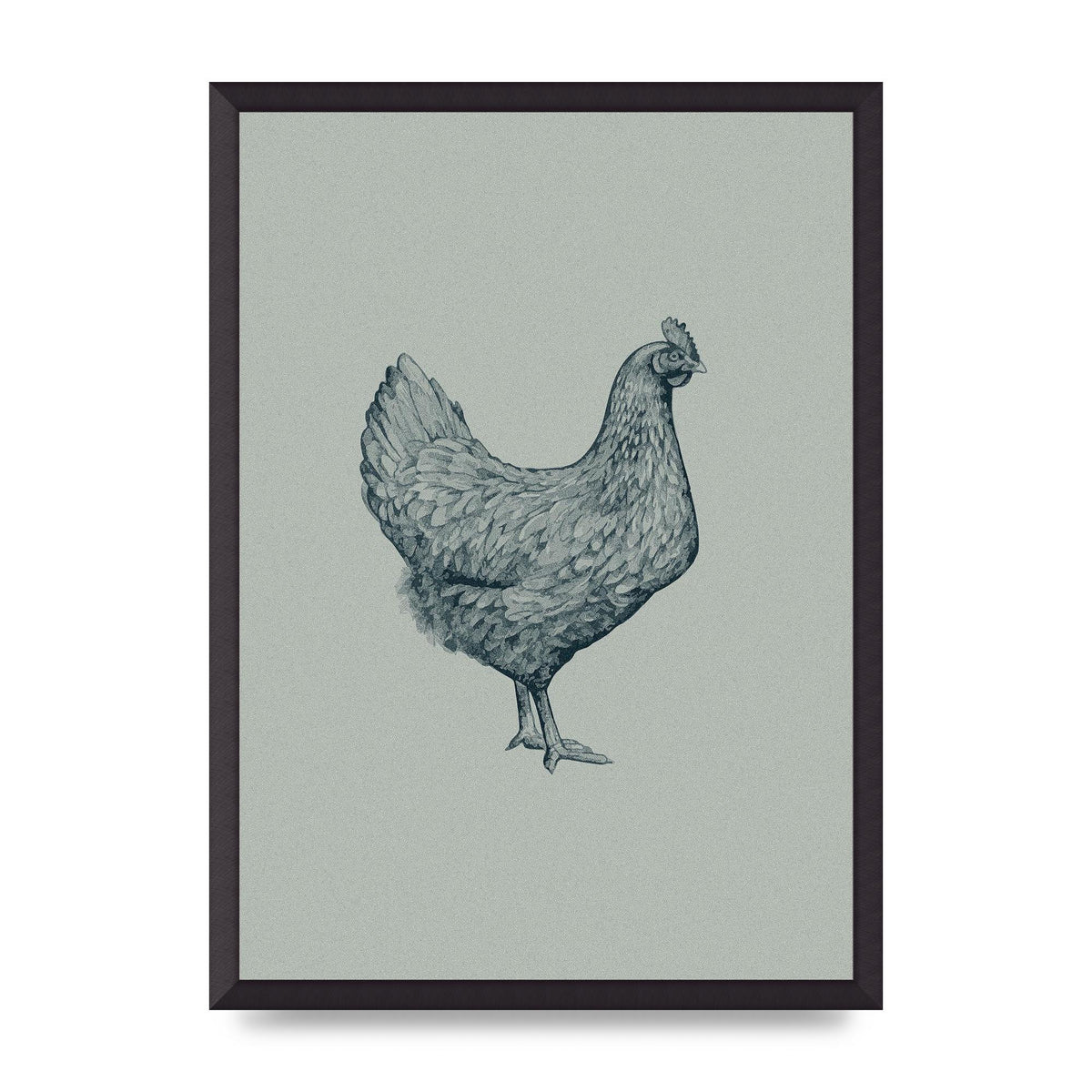 Chicken Illustration Printed Poster - A2 framed