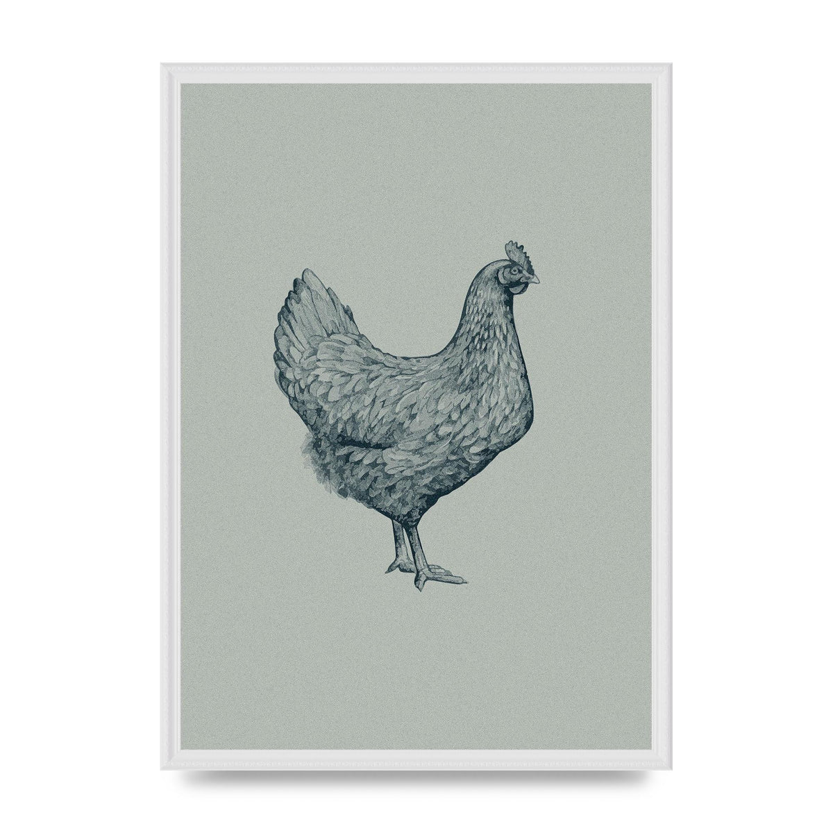 Chicken Illustration Printed Poster - A2 framed
