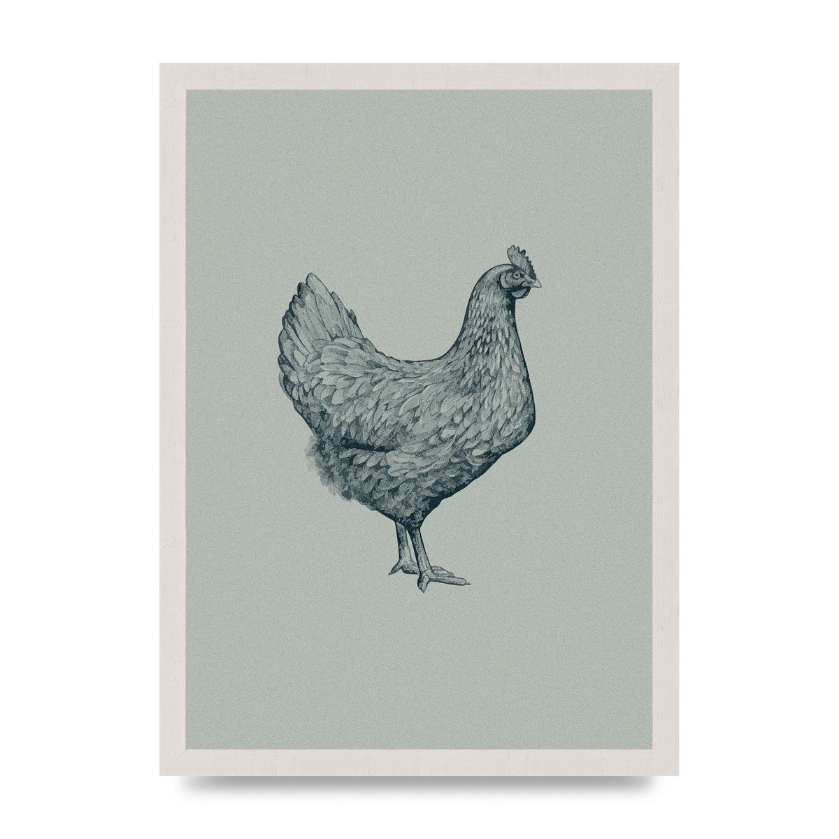 Chicken Illustration Printed Poster - A3 framed