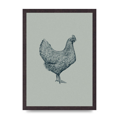 Chicken Illustration Printed Poster - A3 framed