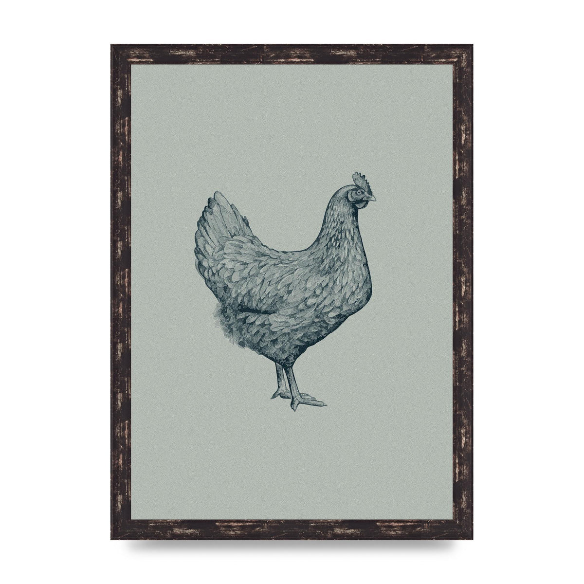 Chicken Illustration Printed Poster - A3 framed
