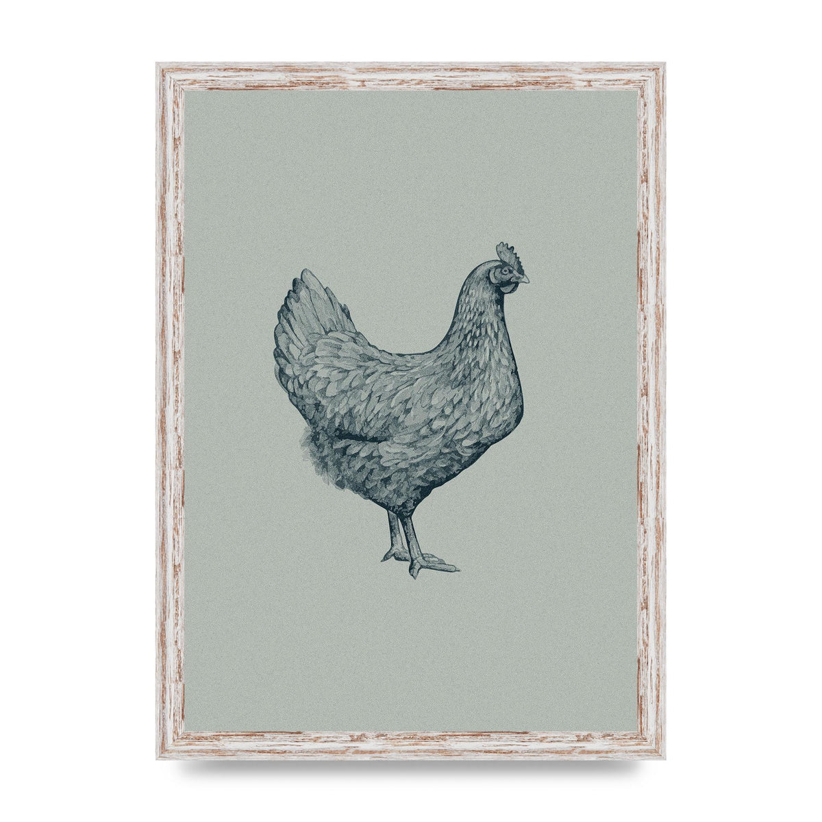 Chicken Illustration Printed Poster - A3 framed
