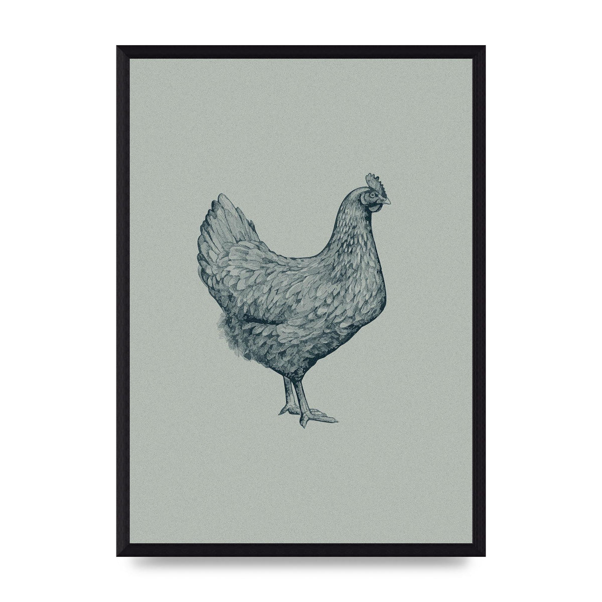 Chicken Illustration Printed Poster - A3 framed