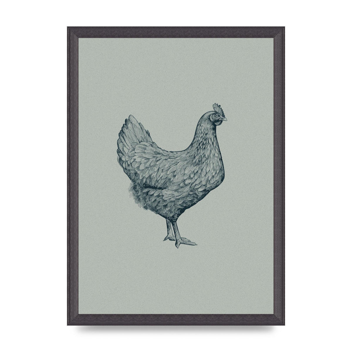 Chicken Illustration Printed Poster - A3 framed