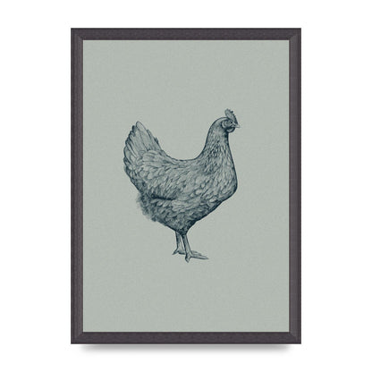 Chicken Illustration Printed Poster - A3 framed
