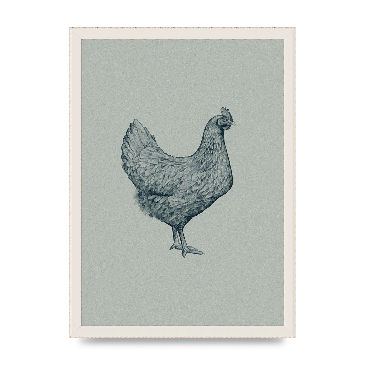 Chicken Illustration Printed Poster - A3 framed