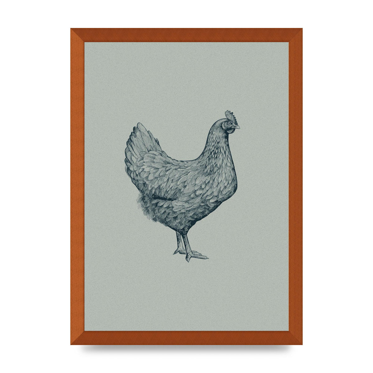 Chicken Illustration Printed Poster - A3 framed