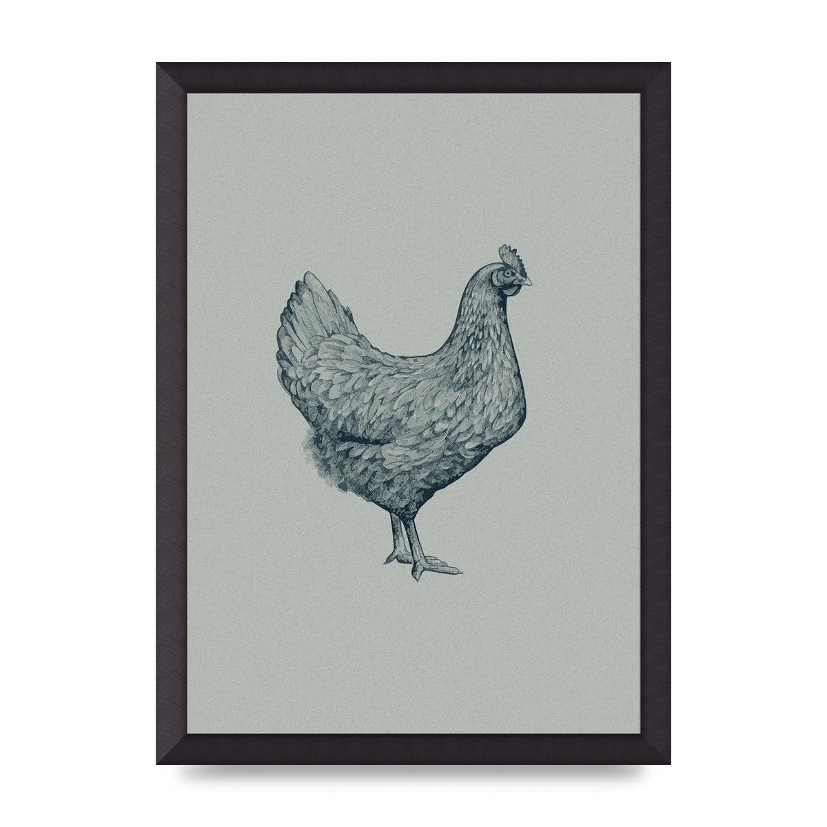 Chicken Illustration Printed Poster - A3 framed
