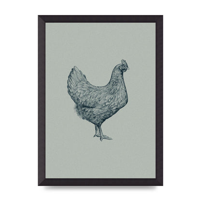 Chicken Illustration Printed Poster - A3 framed