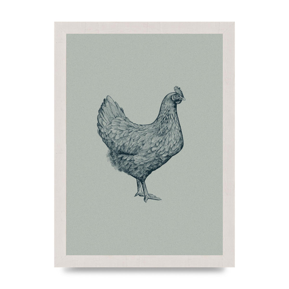 Chicken Illustration Printed Poster - A4 framed