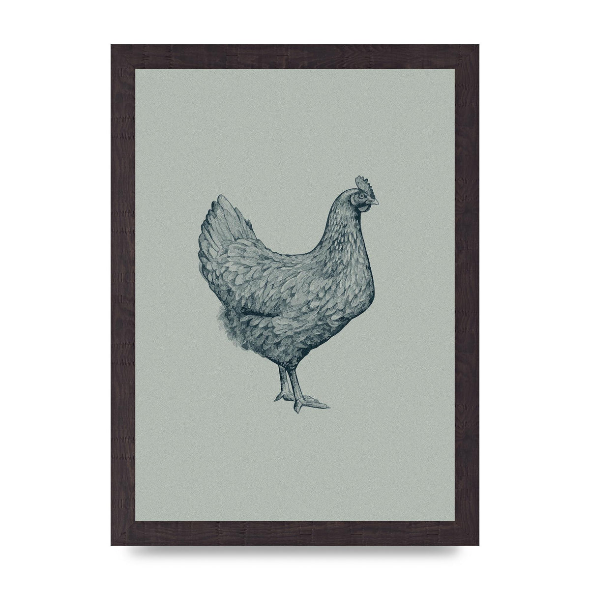 Chicken Illustration Printed Poster - A4 framed