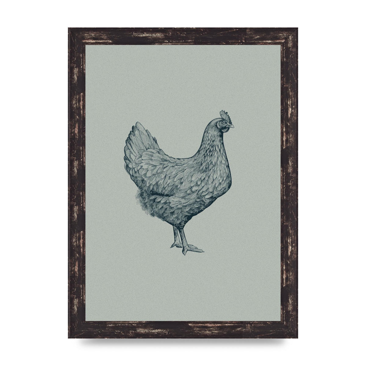 Chicken Illustration Printed Poster - A4 framed