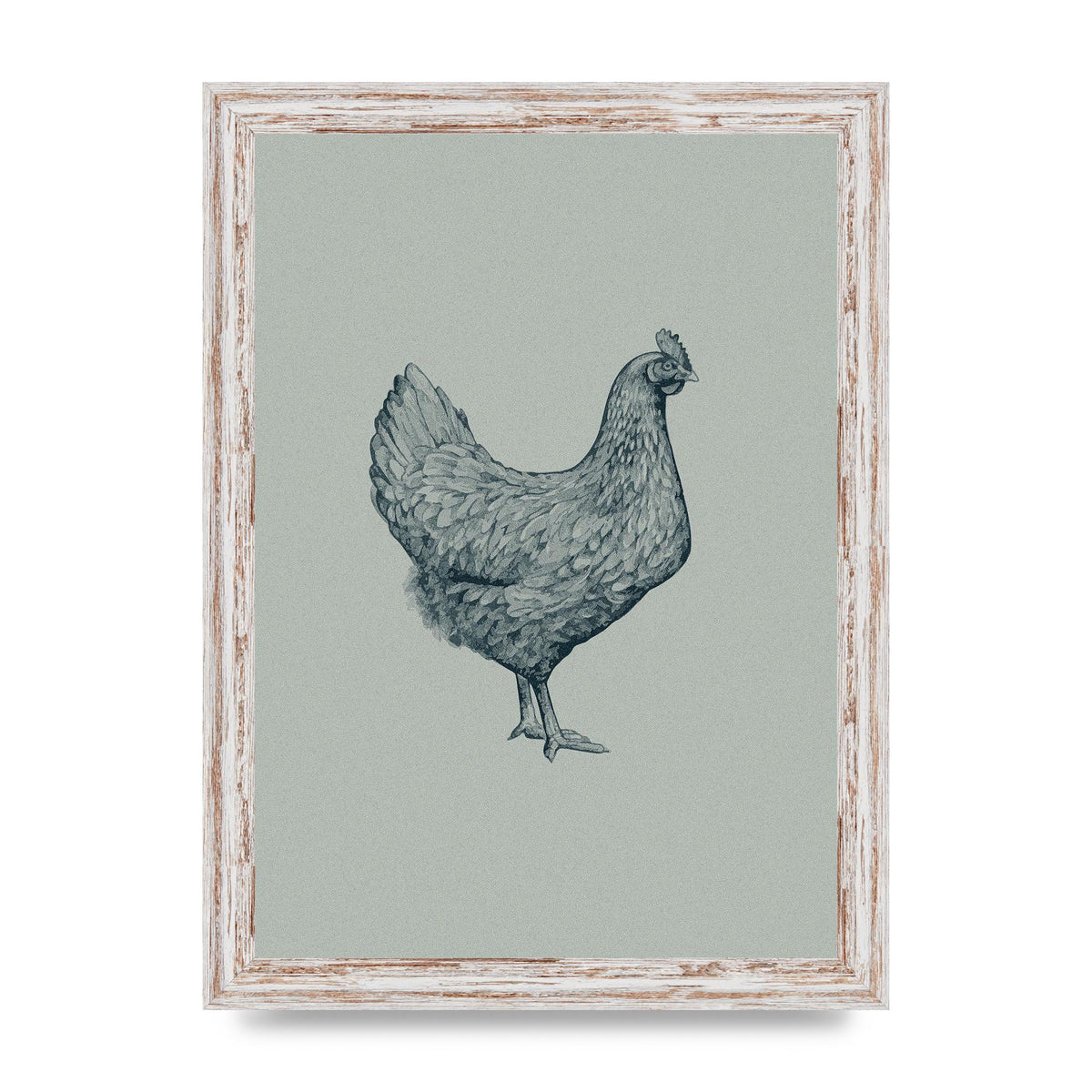 Chicken Illustration Printed Poster - A4 framed