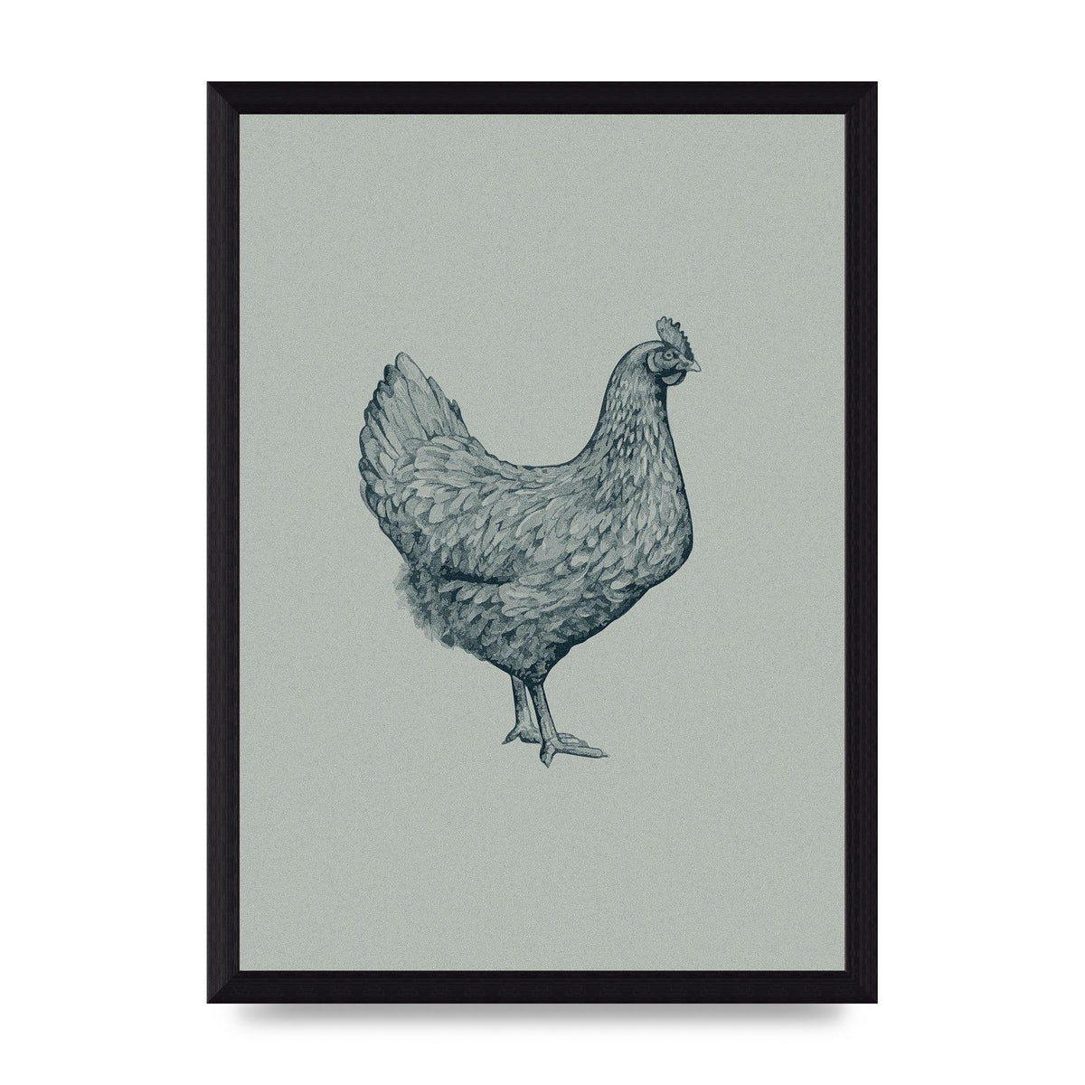Chicken Illustration Printed Poster - A4 framed