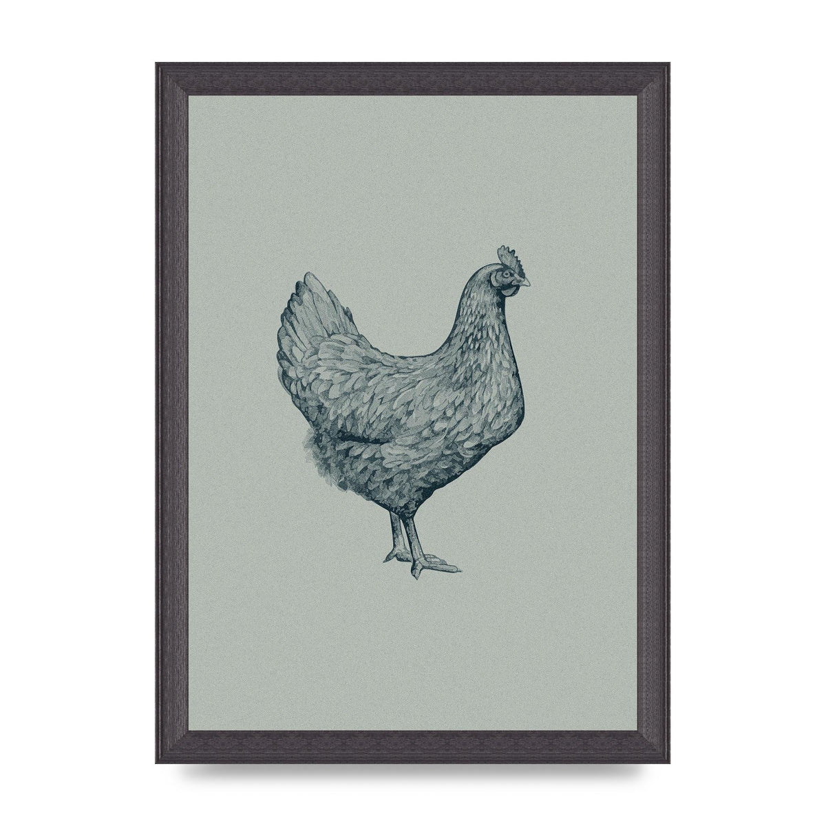 Chicken Illustration Printed Poster - A4 framed