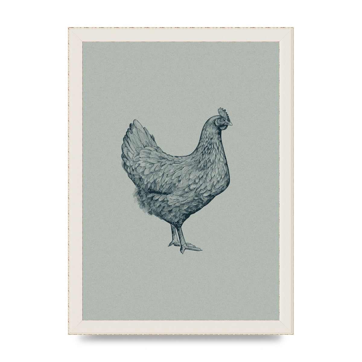 Chicken Illustration Printed Poster - A4 framed