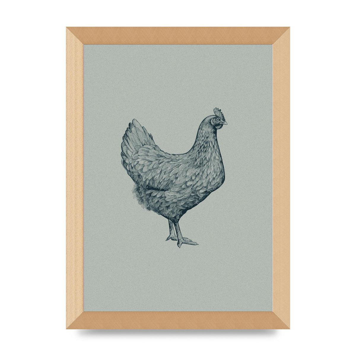 Chicken Illustration Printed Poster - A4 framed