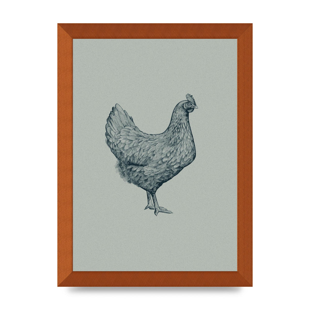 Chicken Illustration Printed Poster - A4 framed
