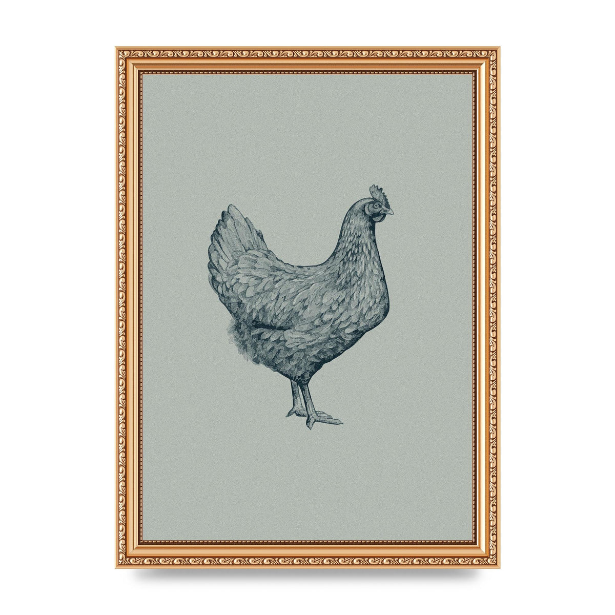 Chicken Illustration Printed Poster - A4 framed