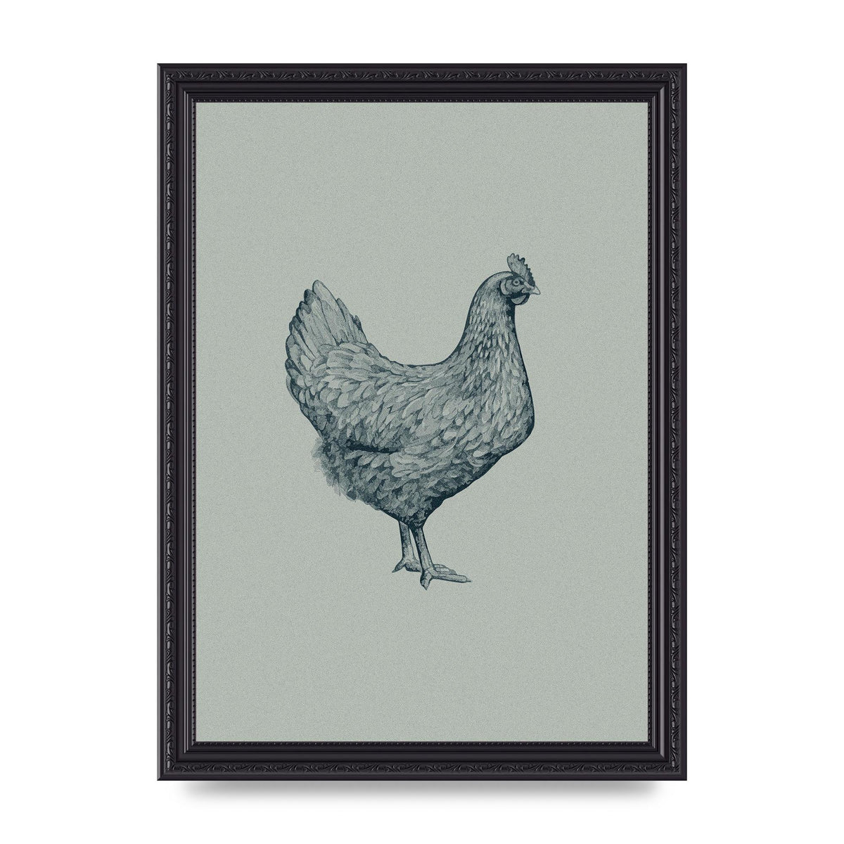 Chicken Illustration Printed Poster - A4 framed